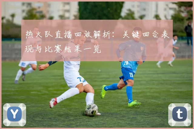 热火队直播回放解析：关键回合表现与比赛结果一览