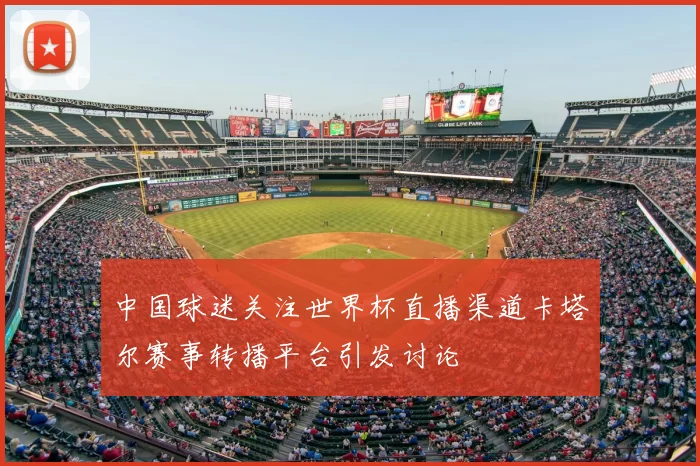 中国球迷关注世界杯直播渠道卡塔尔赛事转播平台引发讨论